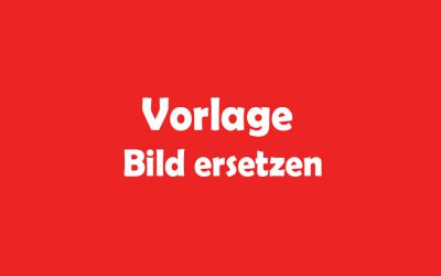 Vorlage für Spielberichte