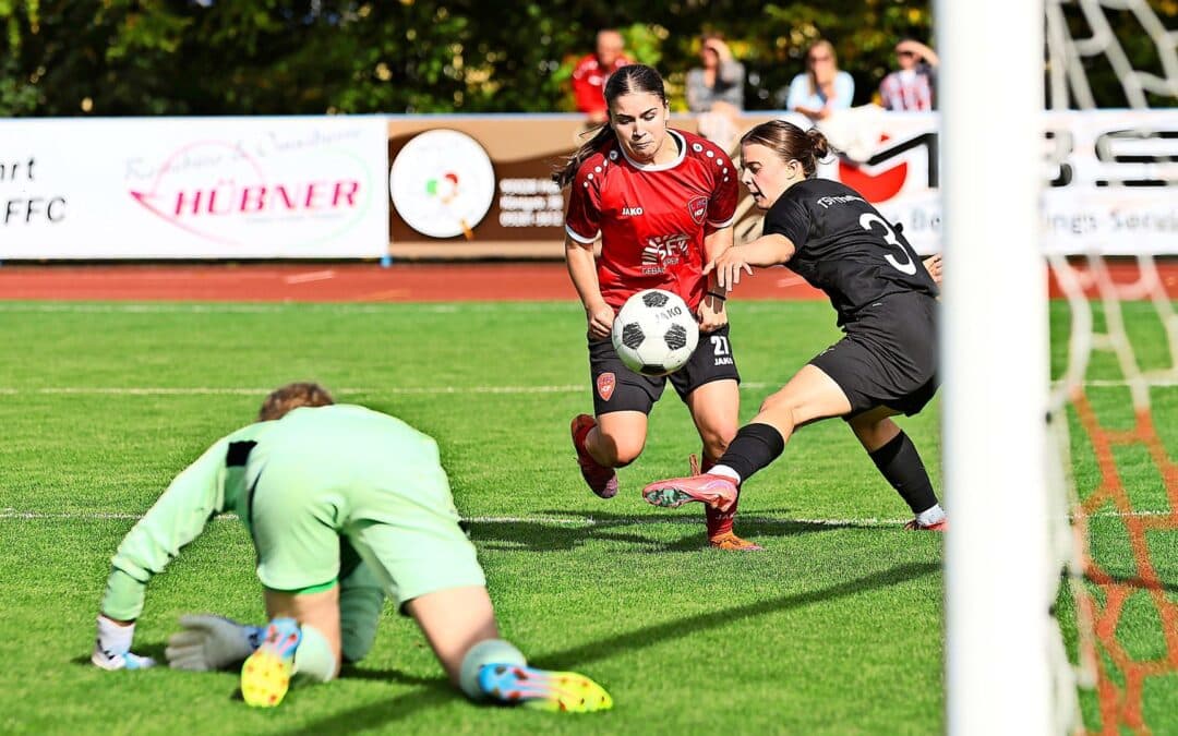 Fußball-Bayernliga: Ein fürstlicher Tag beim FFC Hof